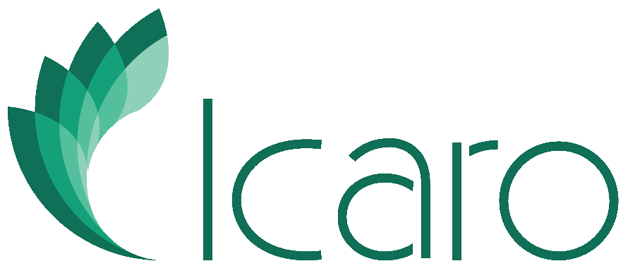 Logo di ICARO Srl