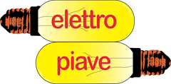 Logo Elettropiave