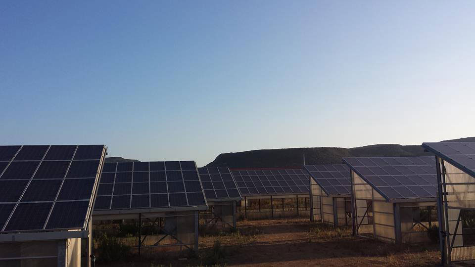 Pannelli fotovoltaici su strutture agricole